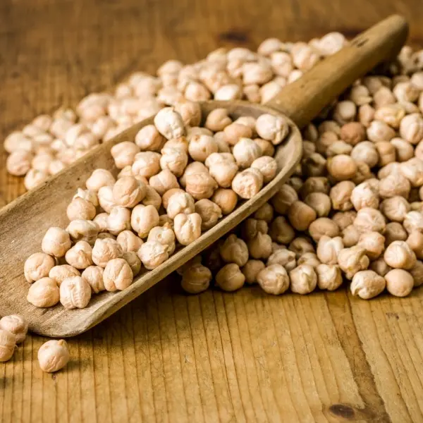 Gülda Pulses - Mersin